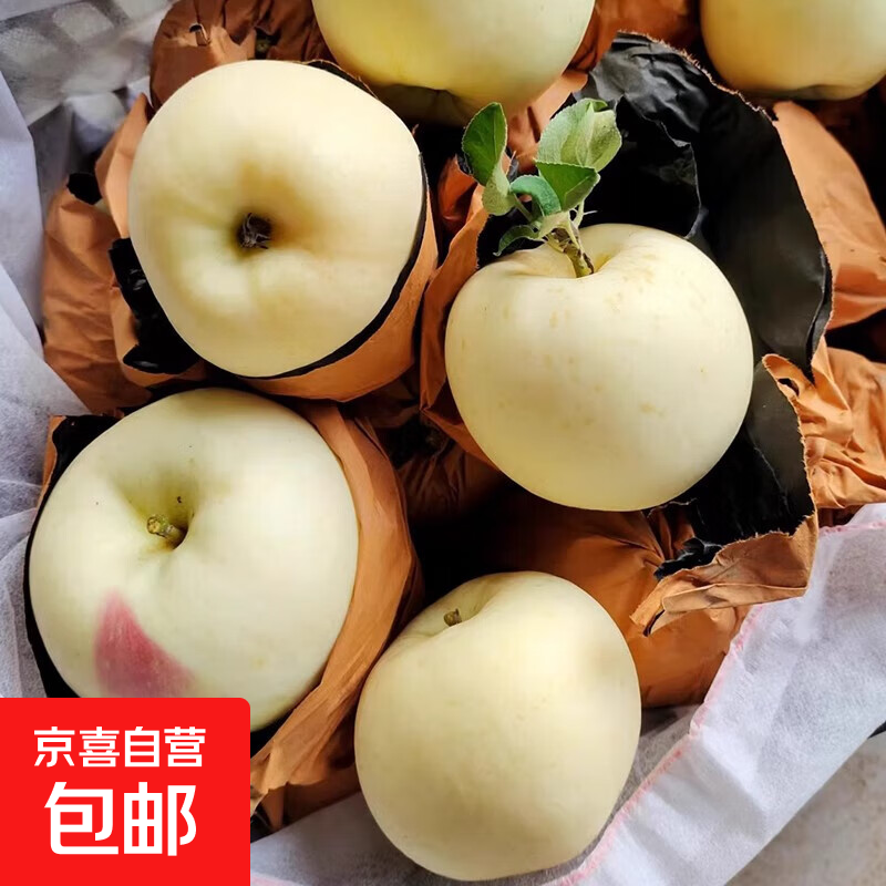 黄金奶油富士苹果5斤孕妇水果整箱甜面苹果丑黄苹果当季鲜果 奶油富士苹果带箱1斤2-4个果