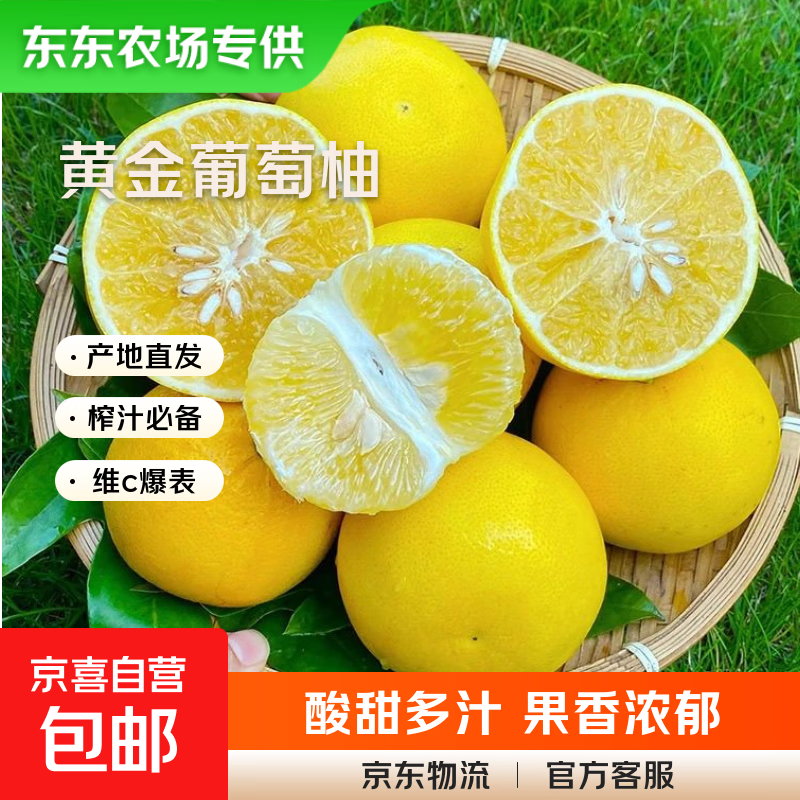 【东东农场专供】黄金葡萄柚 新鲜水果生鲜柚子特产 蜜柚送礼 黄金葡萄柚 净重3斤装（单果200g起）