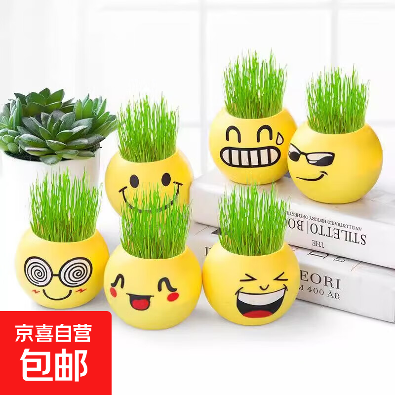 头上长草娃娃草头开花儿童种植小盆栽种草绿植观察植物生长幼儿园 草头娃娃*1