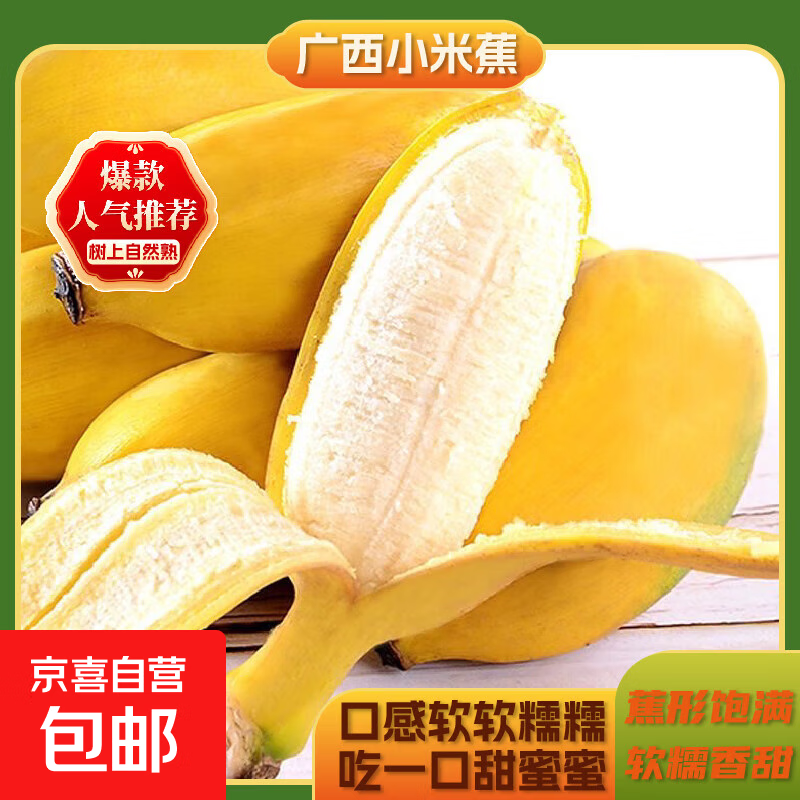 广西新鲜孕妇水果小米蕉酸甜芭蕉苹果香蕉粉蕉皇帝香蕉四季小米蕉 小米蕉带箱2斤