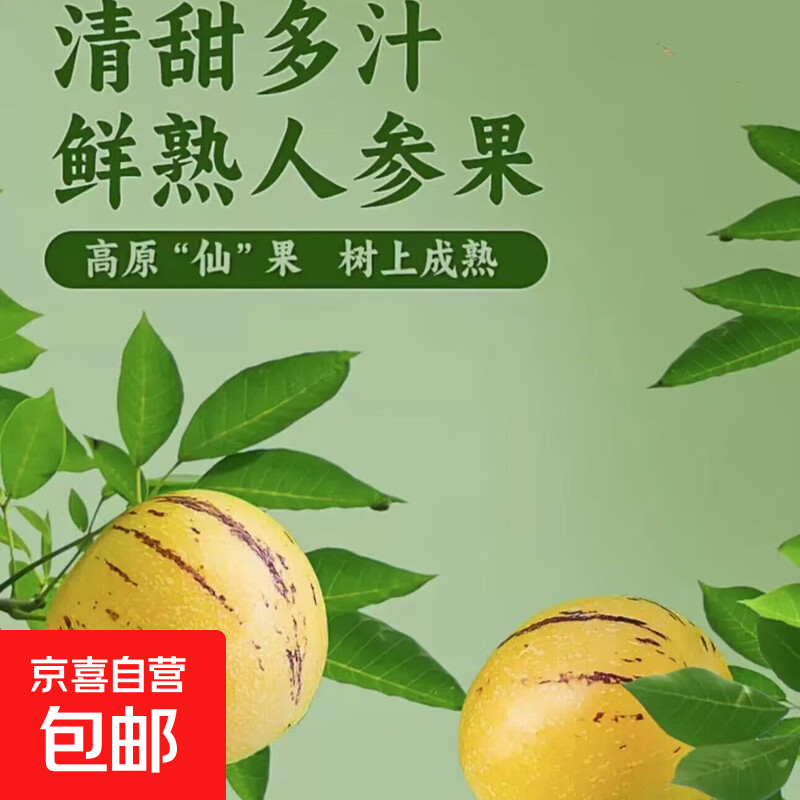 云南高山树熟人参果仙果新鲜孕妇水果-恒沫 小果30-50g 带箱1斤