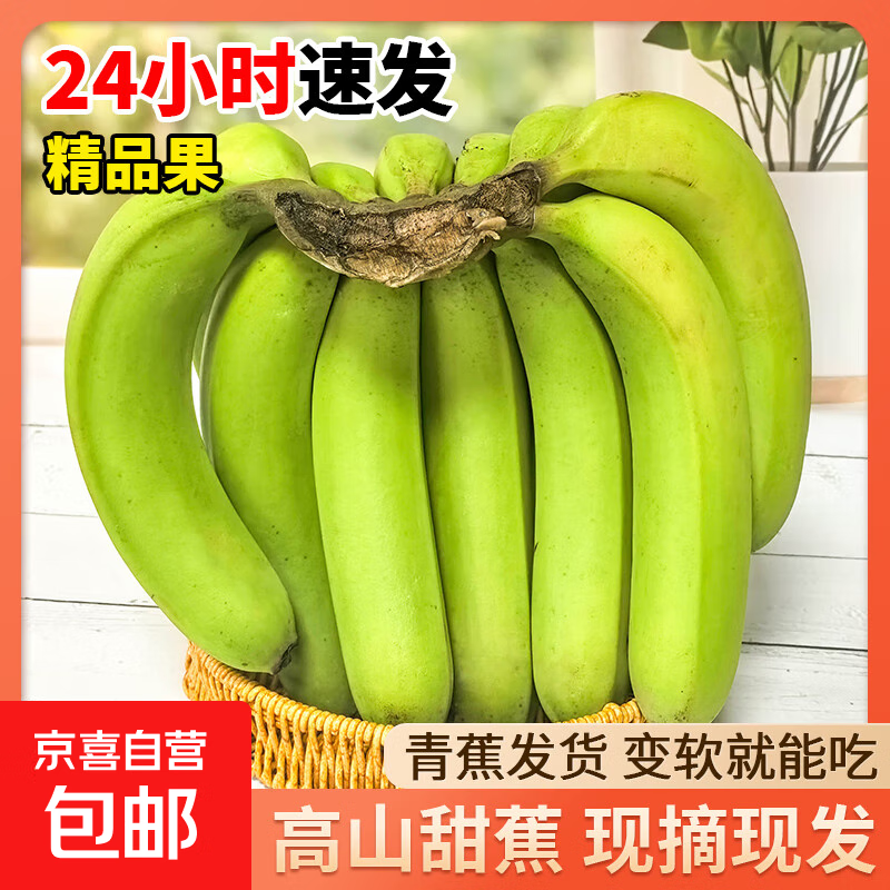 正宗自然广西高山香蕉当季新鲜水果佰果现摘青皮薄皮香甜整箱 净重5斤【单果100g+】青皮发货