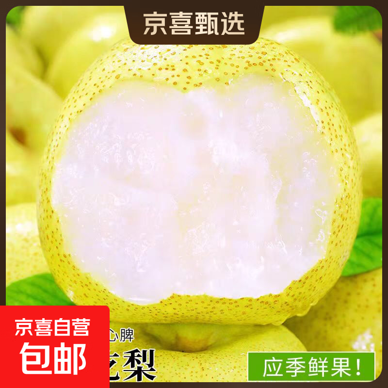 现摘老树头茬新鲜脆甜多汁砀山梨安徽砀山特产砀山酥梨新缘新1 精选果带箱2斤