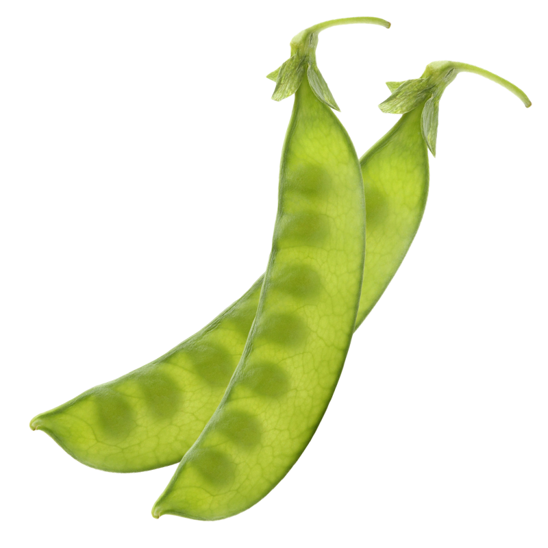 ũ֮�� ���������Ӷ����＾��м��ļ����������߲˴�ܲ��㶹�컨 ���Դ�Ժ��������� 50g��3��