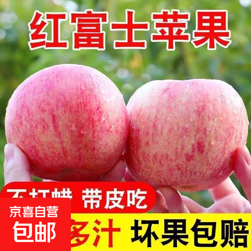 正宗山东烟台蓬莱红富士苹果 带箱1斤75mm+