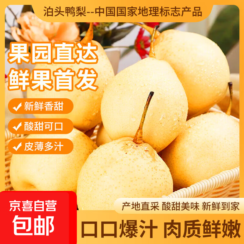 河北泊头鸭梨河北特产脆甜多汁败火清热即食冬季熬汤补身云鼎1 3斤【含箱重】