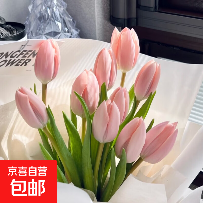 ںˮˮֲļͺ ɫ5ܳ8-10cm+ӪҺ