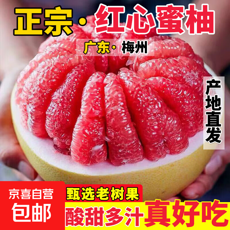 正宗梅州红心蜜柚新鲜水果柚子当季生鲜产地直发脆甜特产整箱包邮 【小果1粒】 单果1.4+斤