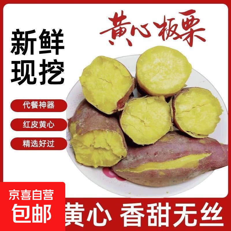 山东正宗板栗红薯新鲜现挖地瓜农家自种济薯26 正宗板栗红薯2斤 净重 板栗薯