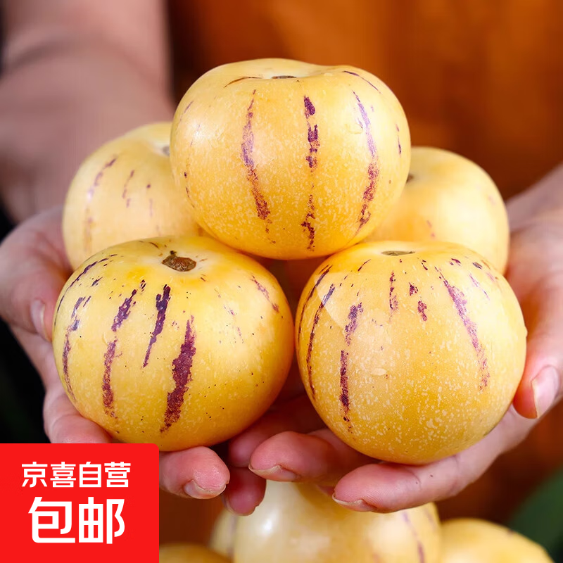 正宗云南人参果圆果树上熟水果当季孕妇新鲜大果清甜整箱-旅发 带箱3斤 大果 80-110g