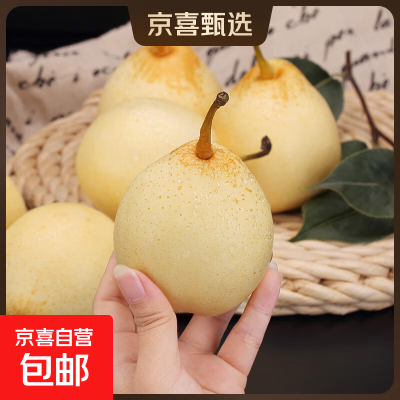 河北鸭梨产地直发当季新鲜水果包邮中翠梨新2 带箱2斤（单果150g+)
