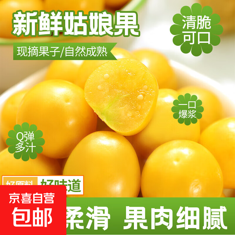 东北特产姑娘果黄菇娘当季水果灯笼果生鲜酸甜可口新鲜产地直发 【试吃装】带箱0.5斤