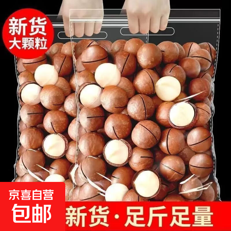【当季新货】夏威夷果净重奶油干果坚果休闲孕妇零食奶香健康营养 【实惠装】夏威夷果250g*2袋