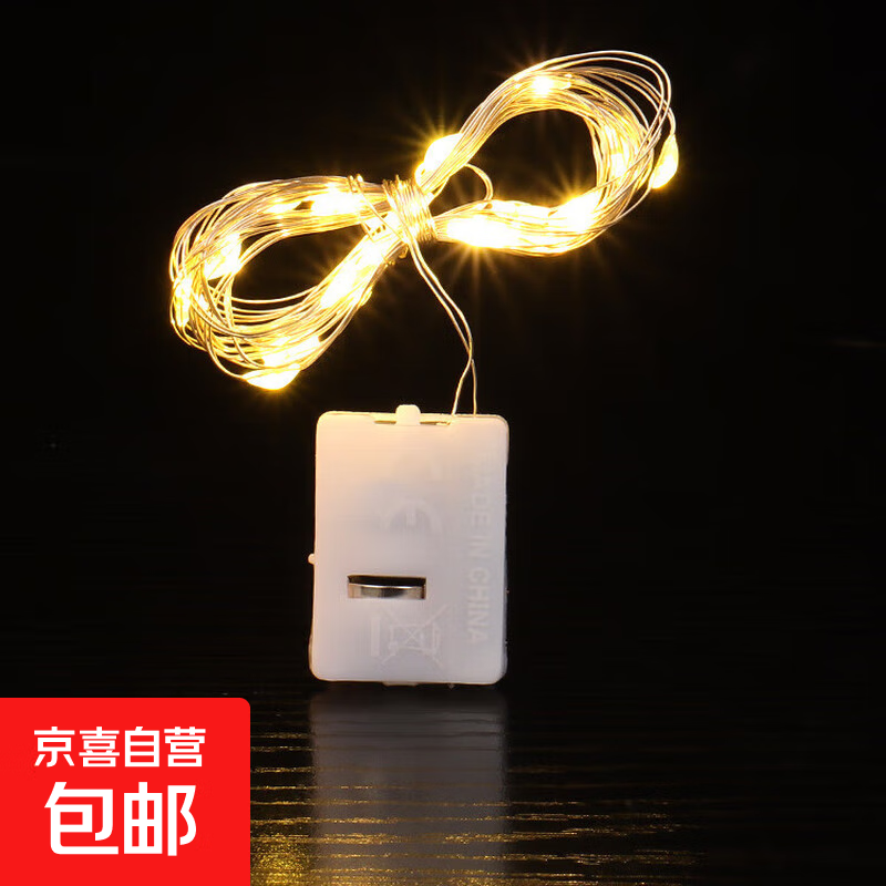 LED纽扣电池小白盒彩色鲜花灯串圣诞树装饰铜线氛围串灯圆球灯芯 暖白【三挡含电子】 2米20灯【独立包装】