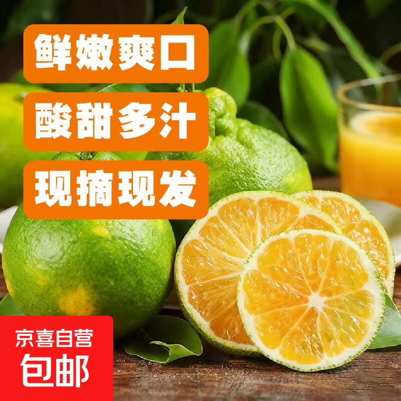 云南高山丑橘当季新鲜水果丑八怪橘子新鲜应季水果 带箱1斤（活动）