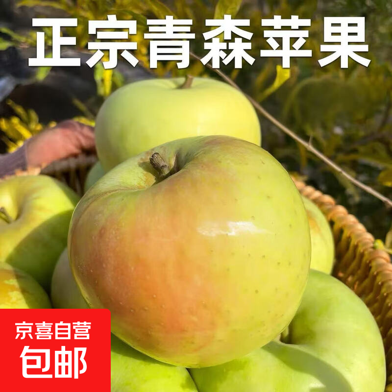 山东青苹果新鲜水果当季现摘绿小苹果王林酸脆甜整箱金帅苹果 2粒装
