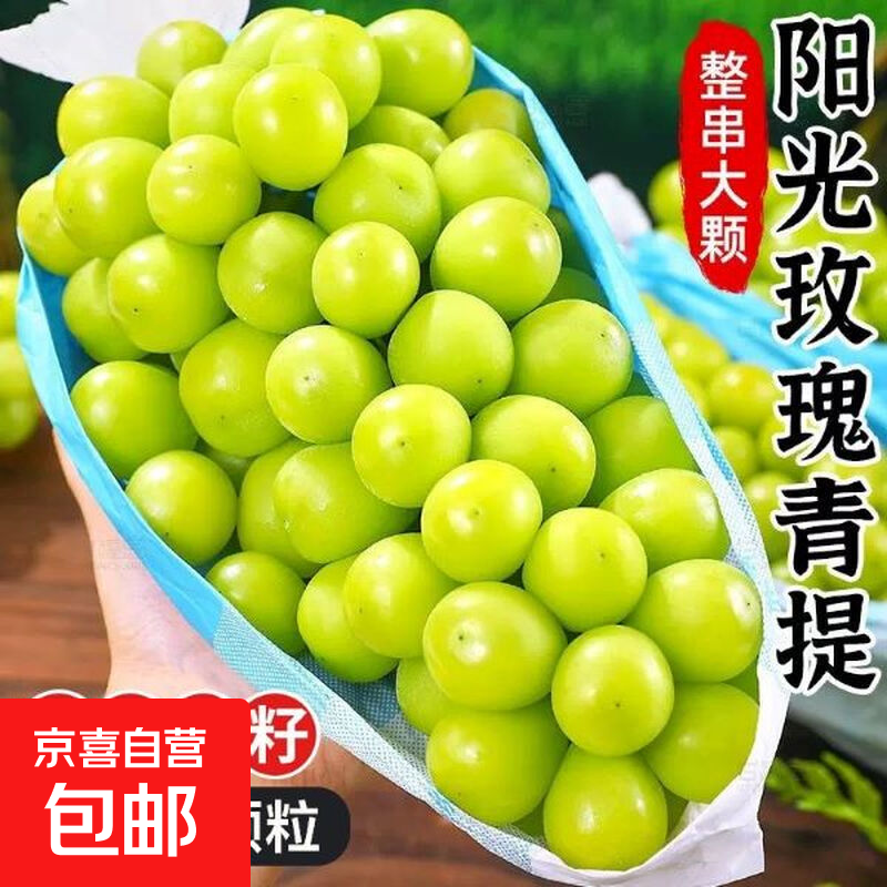 阳光玫瑰葡萄晴王青提香水提子新鲜应季水果一斤也是批发价 带箱2斤大果【单果克重10g-20g】（净重约1.5斤）