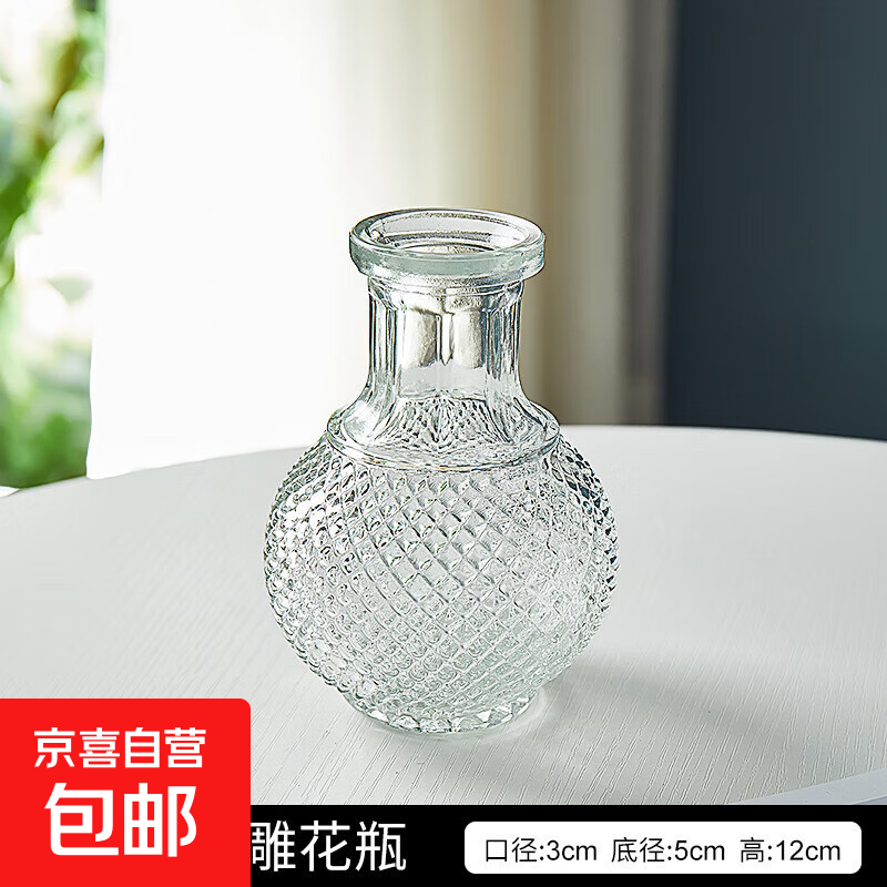 复古小花瓶浮雕玻璃高颜值森系花瓶透明水培插花客厅装饰花瓶 1支装地球浮雕透明花瓶+泡沫包装