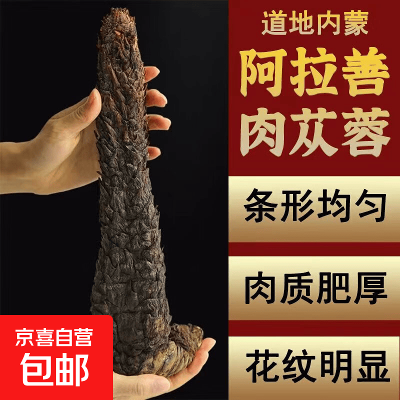 阿拉善肉苁蓉内蒙古野生整根切片鲜干片男性持久淫羊藿泡茶泡酒料 【野生精选】肉苁蓉整根约500克（约7年生）