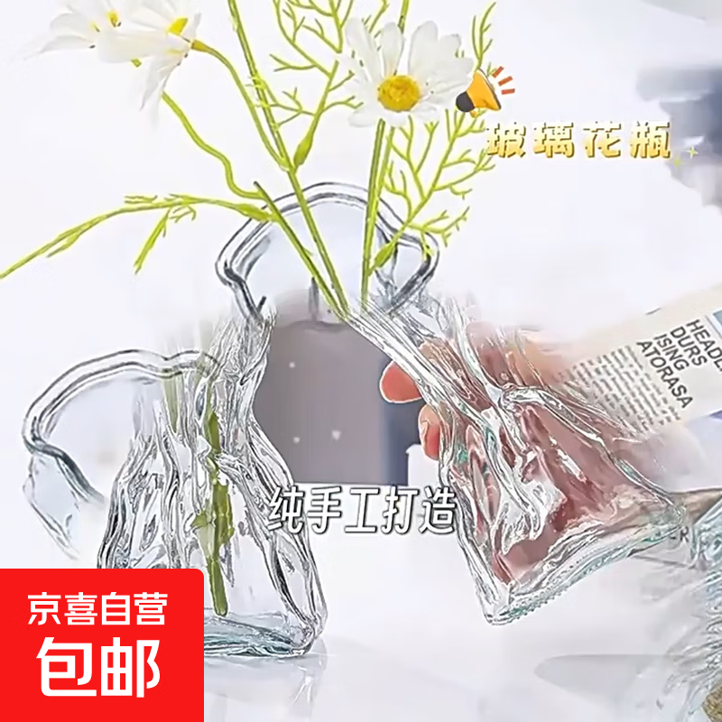 玻璃花瓶不规则ins风民宿客厅桌面水养花装饰摆件插花瓶 2只装透明花瓶+泡沫包装