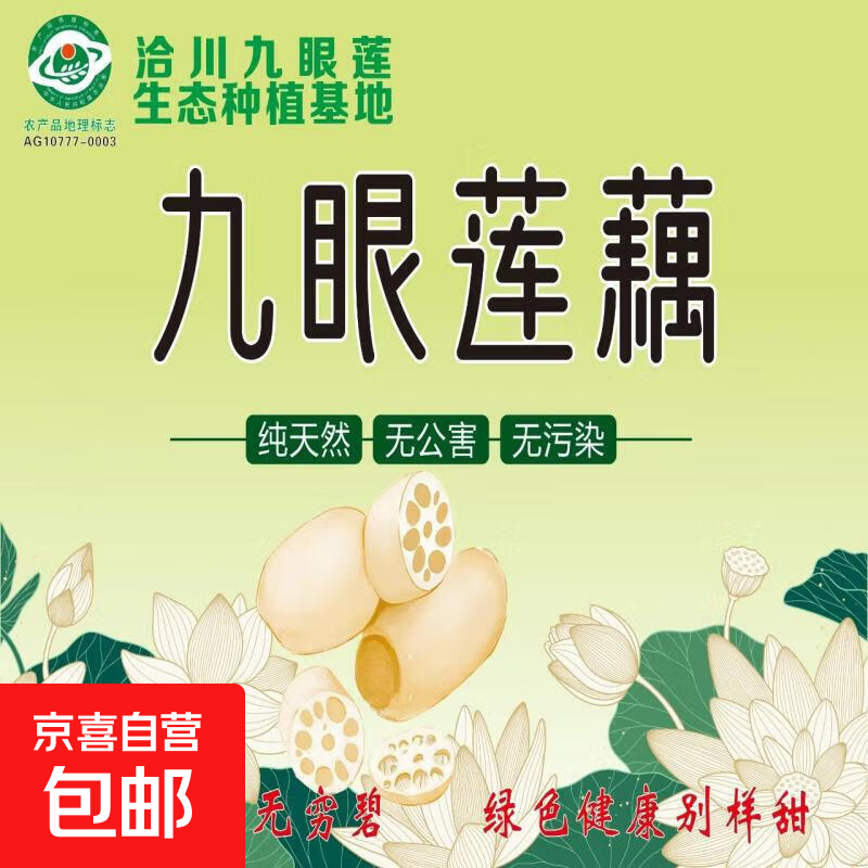 黄河九眼莲藕 地标认证基地施用农家肥 风味更佳真空包装锁鲜到家 【活动专享】莲藕5斤 保鲜膜装 正负50克