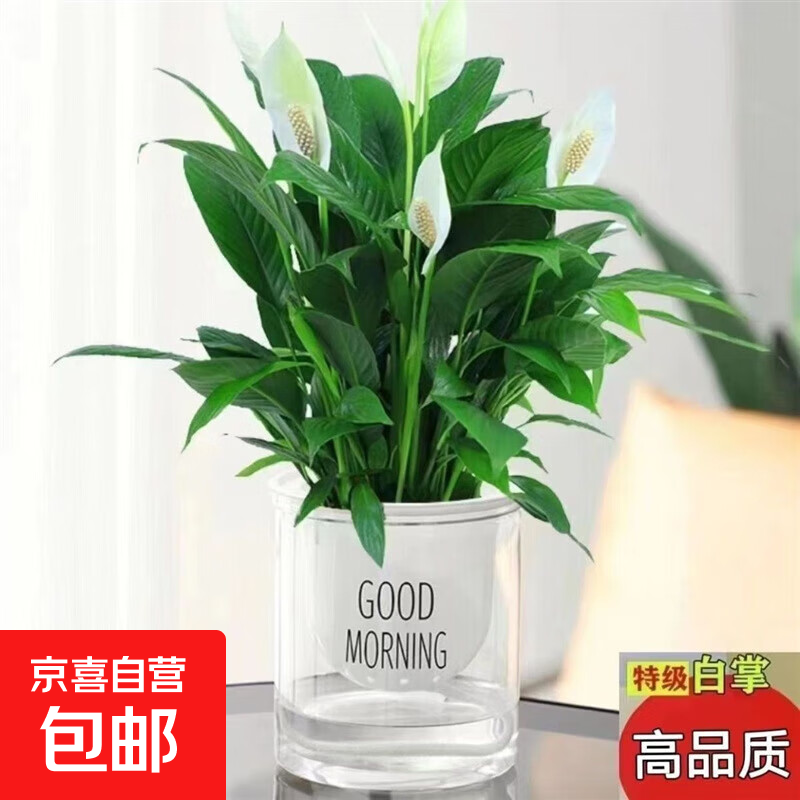 Դһ˳ֲֲˮ˵ͷļ ؼ3-5(簲)+ӪҺ  3.5Ԫ