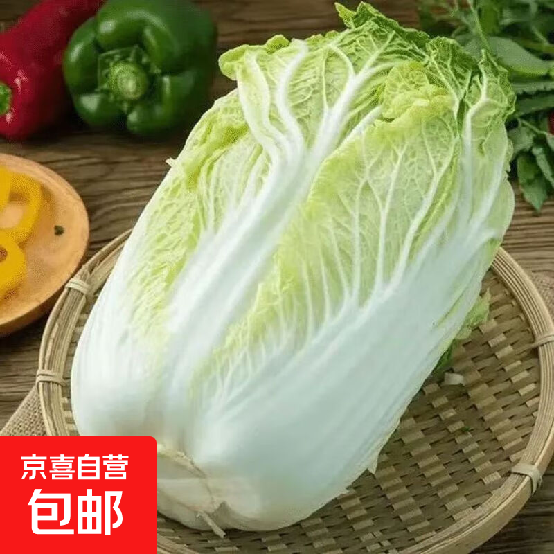 东东买菜新鲜云南高原白菜大白菜娃娃菜火锅新鲜蔬菜直播间包邮 2斤带箱 大白菜