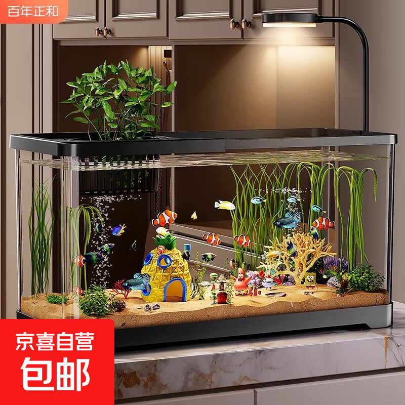 鱼缸小型客厅2025新款造景生态缸过滤制氧一体机金鱼底滤系统整套 鱼缸【配件】