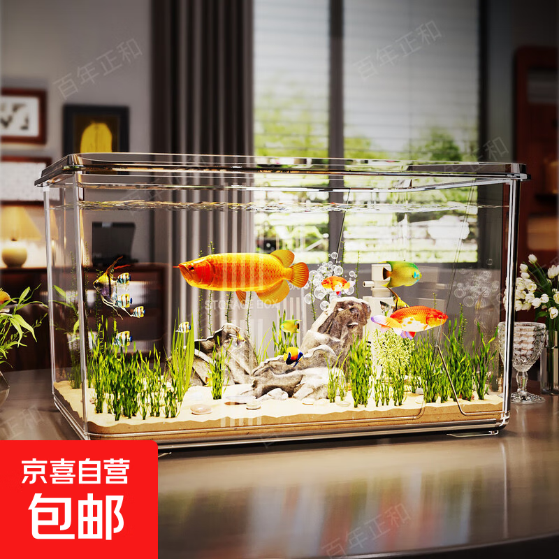 小鱼缸客厅2025新款生态缸金鱼乌龟饲养家用仿玻璃小型桌面 中号Piusi制氧款【10K透亮缸体/久用不糊/摔不碎】