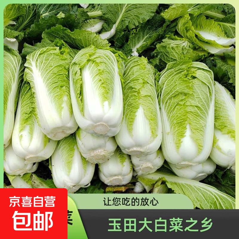 ��˪��ˡ����ʴ�ײ˻��Ĵ�ײ� 4-6�ﺬ�� ��ͻ�����о������� 9.9Ԫ(����ȯ)