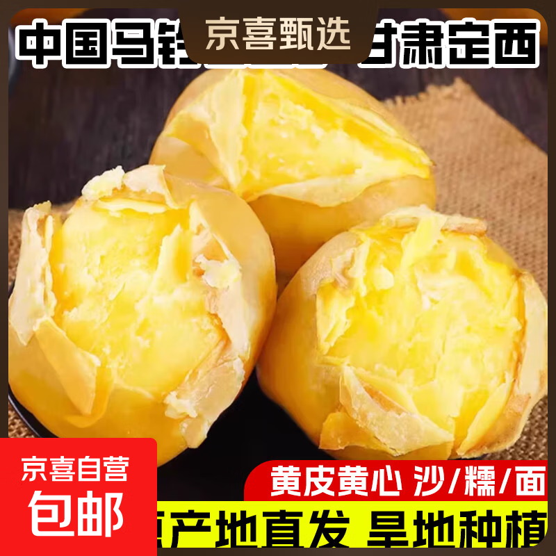 甘肃定西土豆2025年现挖黄皮黄心产地直发沙糯面马铃薯洋芋 小果-5斤（净重）-黄皮黄心