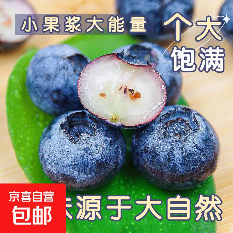 新一季进口秘鲁高山蓝莓高端当季新鲜水果怡颗云蓝梅南京东包邮 家庭4盒装（100g-125g）/盒 中果单果14mm+