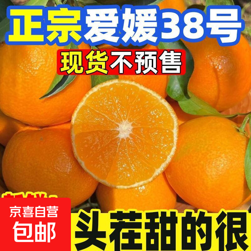 四川38号爱媛果冻橙皮薄多汁当天采摘直发孕妇儿童水果手剥甜橙 8斤小果36个左右