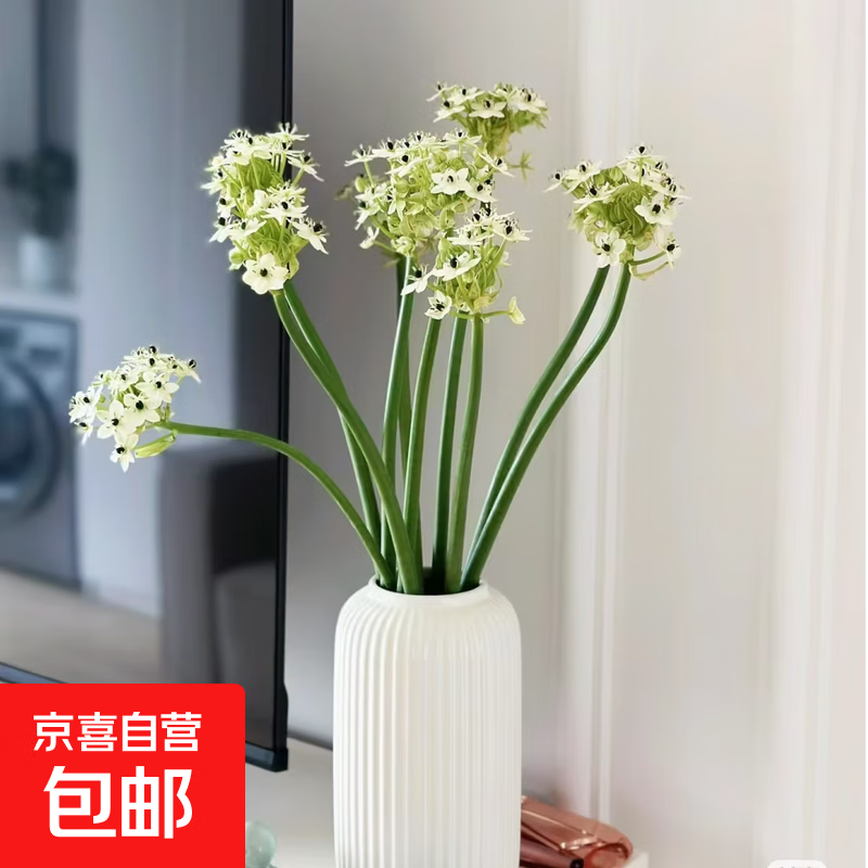 ��������л������칫��ǰ̨װ�μ����ʻ����ڳ������� �����5֦ 10.9Ԫ