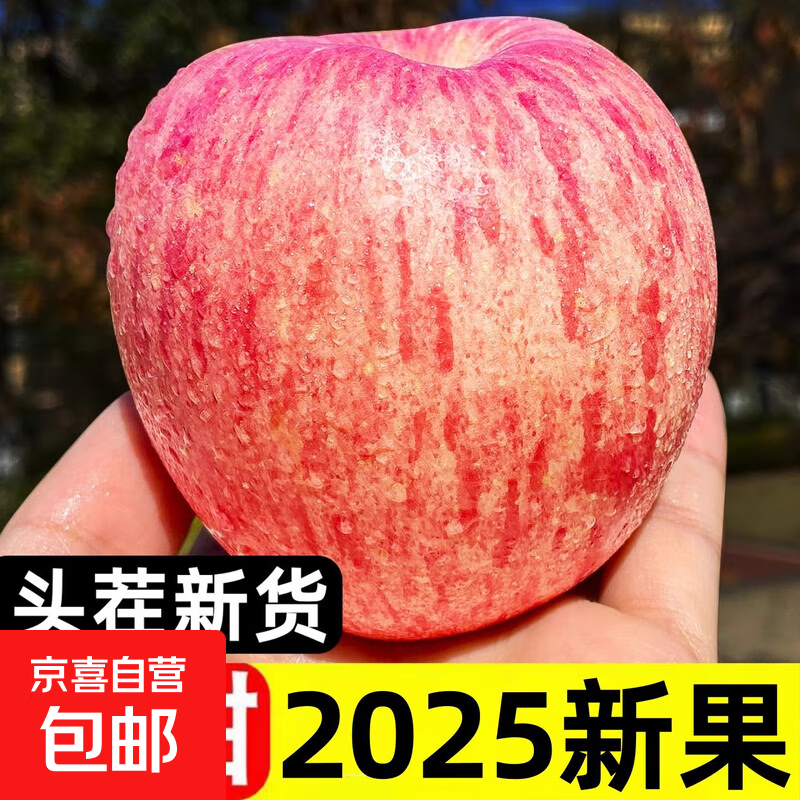 红富士苹果旗舰店老人宝宝辅食新鲜水果脆甜整箱正宗无蜡 带箱1斤尝鲜【70-75mm】