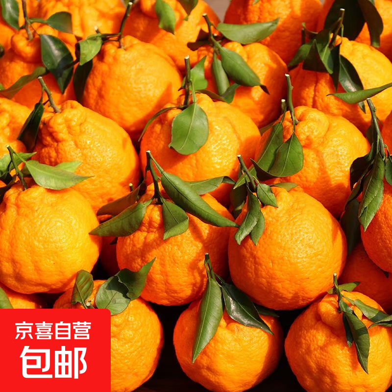 正宗高山丑橘当季新鲜不知火丑橘丑八怪水果橘子批发整箱 丑橘带箱9斤