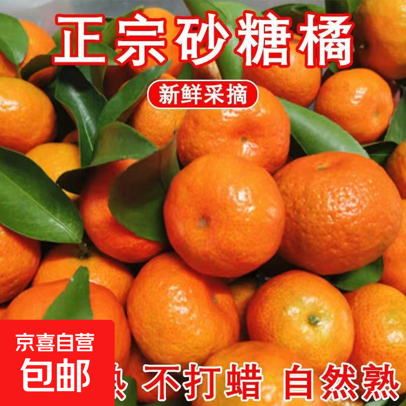 【产地直发】正宗广西金秋砂糖橘棉橘水果新鲜当地砂糖橘橘子新鲜 砂糖橘带箱2斤