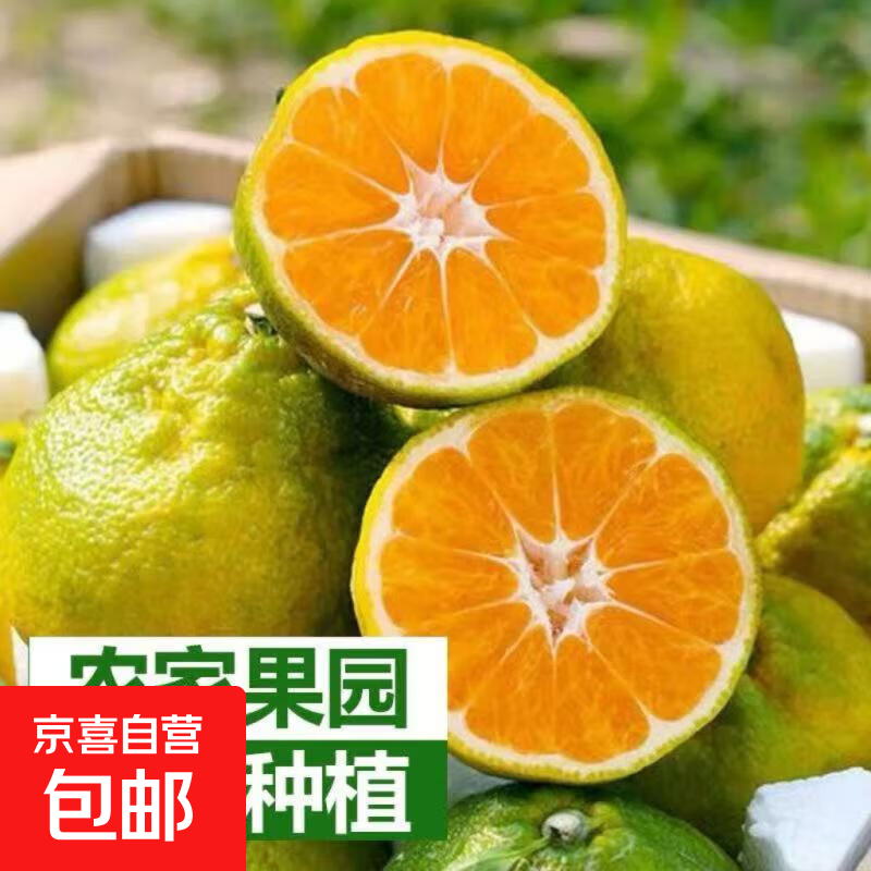 新鲜高山丑橘应季水果薄皮丑八怪柑橘 带箱3斤装