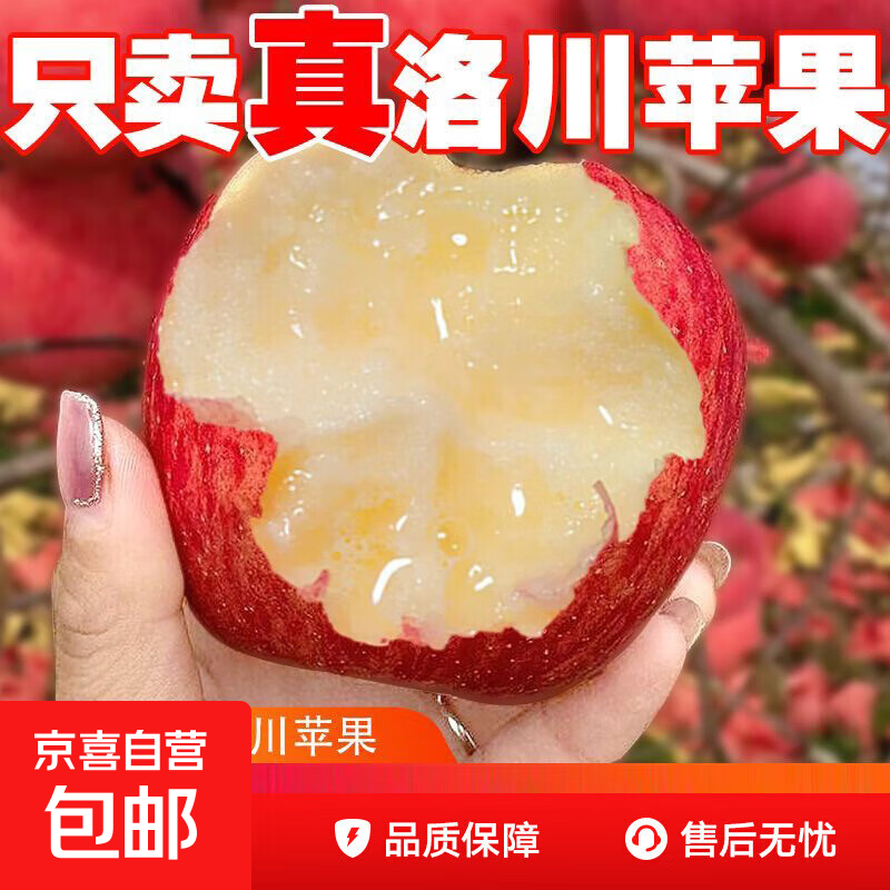 正宗陕西洛川苹果红富士新鲜当季冰糖心脆甜整箱宝妈孕妇生鲜水果 带箱约5斤（净果4.6斤）单果70mm+