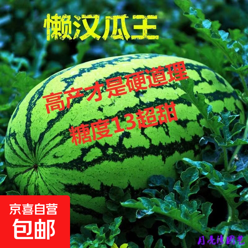 【亏本冲量】水果套餐草莓圣女果羊角蜜西瓜阳台盆栽农家瓜种大全 懒汉瓜王西瓜种子1包约50粒