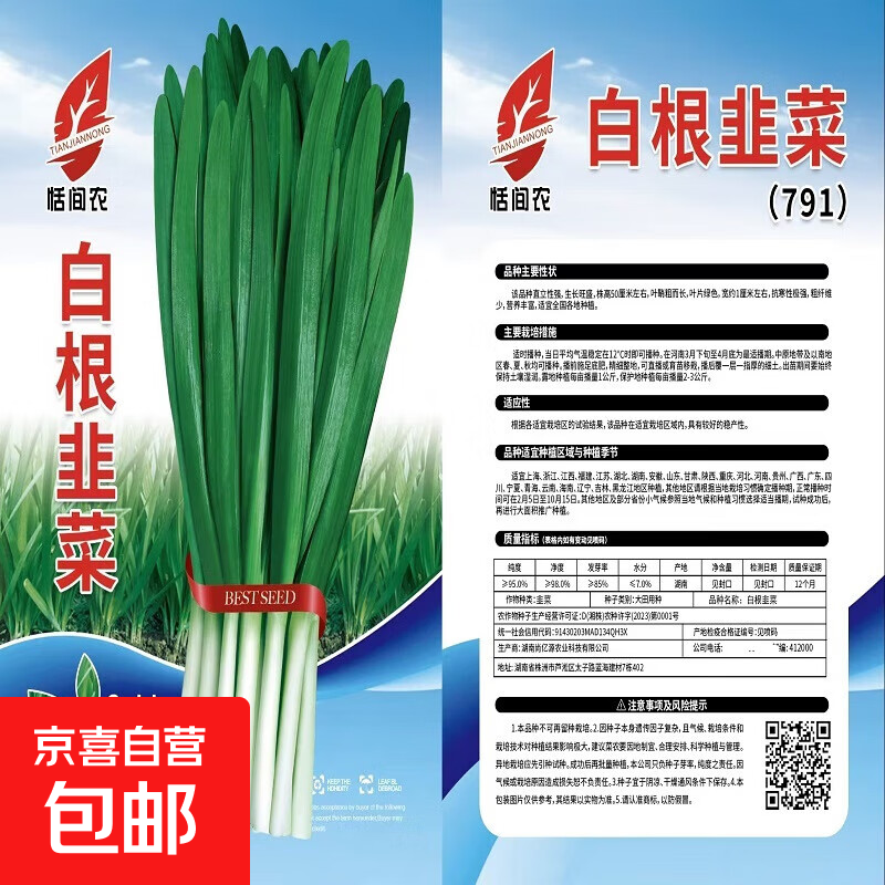【亏本冲量】四季播种韭菜种子种籽白根宽叶韭菜根苗韭菜籽大全 1包约400粒 白根韭菜种子