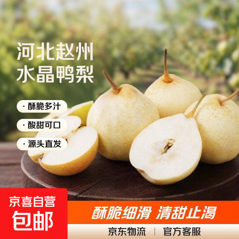 【已售50万斤】河北水晶鸭梨赵州鸭梨产地直发单果160g起 鸭梨带箱4斤（净重3.5斤）