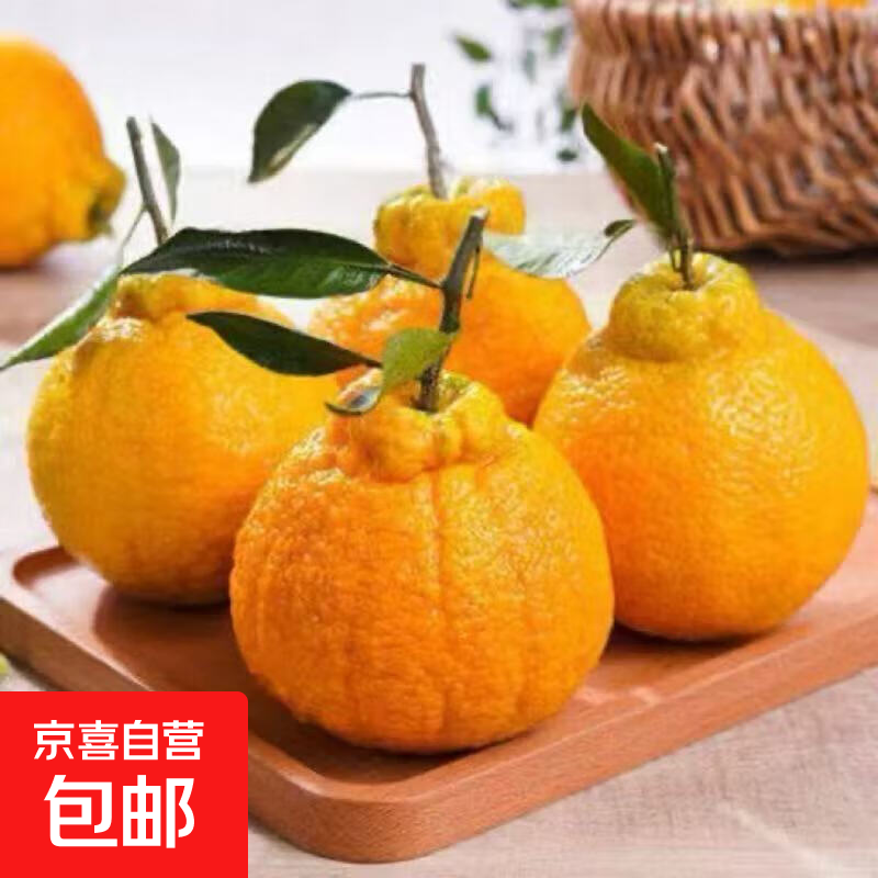 精选高山丑橘新鲜橘子应季时令水果当季蜜橘应季桔子整箱包邮 带箱5斤装