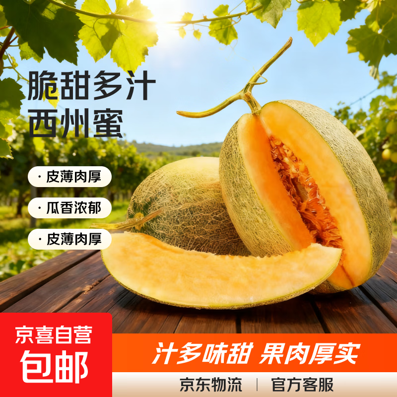 正宗哈密瓜西州蜜大果甜瓜新鲜采摘蜜瓜脆甜多汁整箱 哈密瓜2-3斤