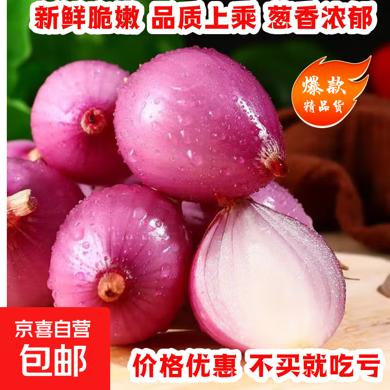 【小洋葱】新鲜紫红皮小洋葱即食超市生鲜小葱头蔬菜 1斤精品小洋葱