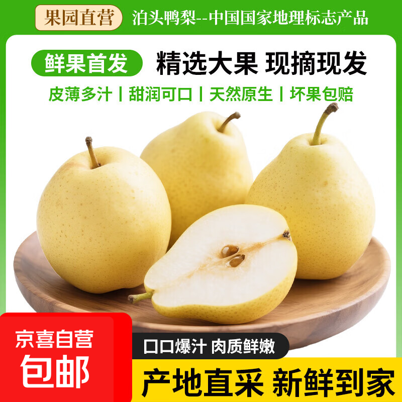 京喜加河北泊头鸭梨一级梨止咳化痰润肺新航线12 5斤【含箱重】