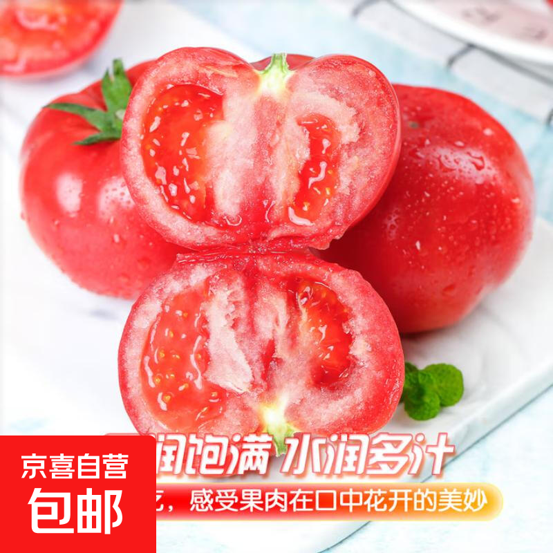 新鲜沙瓤西红柿自然成熟现摘现发番茄下蔬菜生鲜减肥单果80g+ 新鲜西红柿 3斤 净重