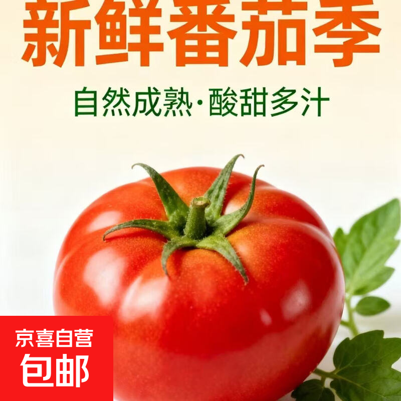 ɽ��ũ������ɳȿ������ ��ժ���ʷ��� ����4.5�� ����80g+ 13.9Ԫ