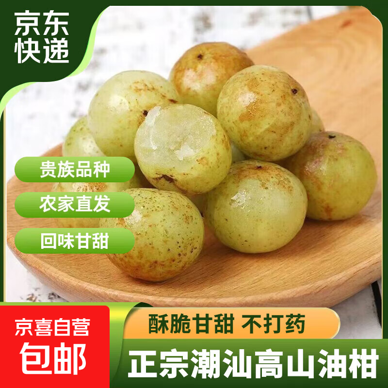 正宗潮州高山油柑果当季水果余甘果牛甘果滇橄榄生津解渴产地直发 油柑果  2斤（多日鲜享）