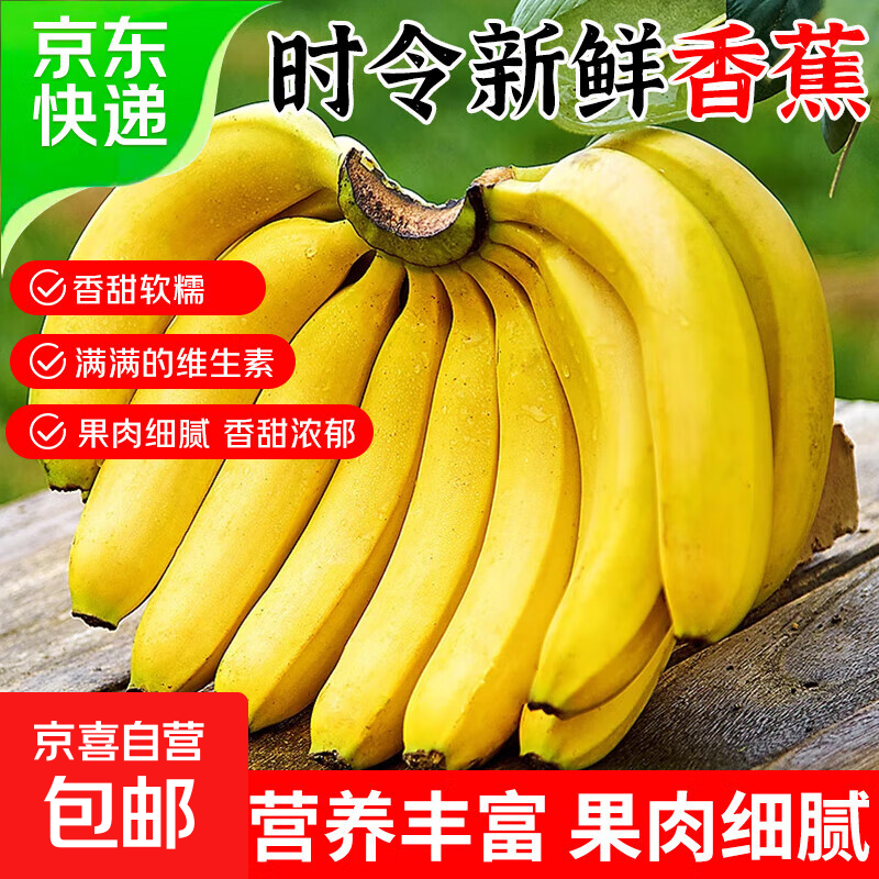当季新鲜香蕉青皮发货现摘香甜营养儿童孕妇放心食需催熟甜整箱发 净重9斤